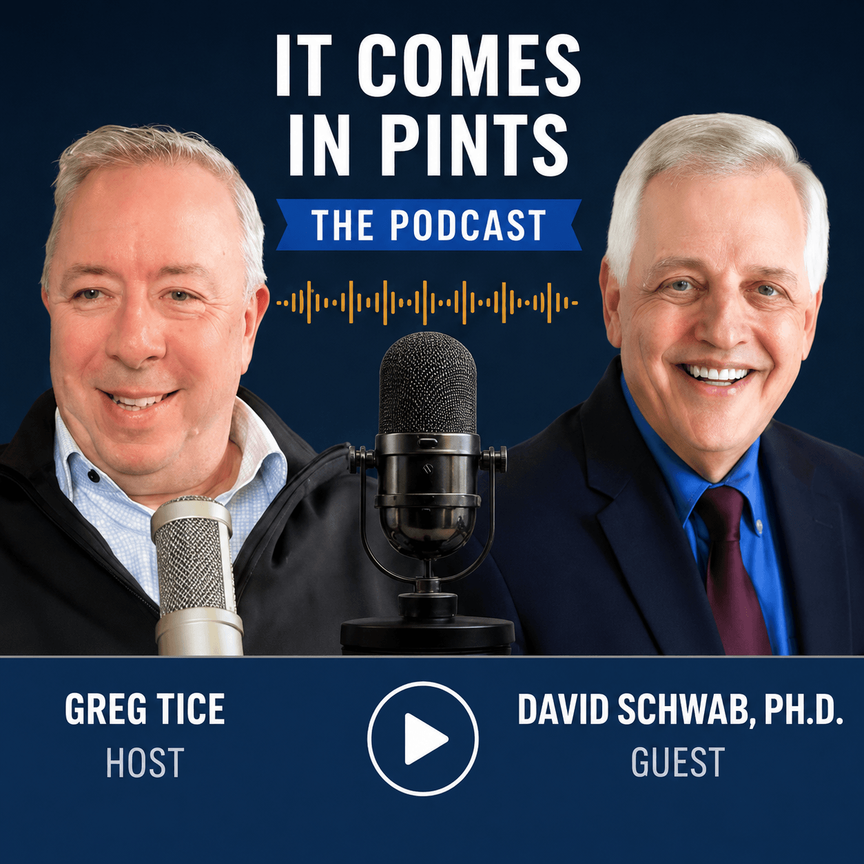 It Comes In Pints podcast featuring David Schwab, Ph.D.